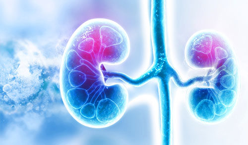 Nephrology